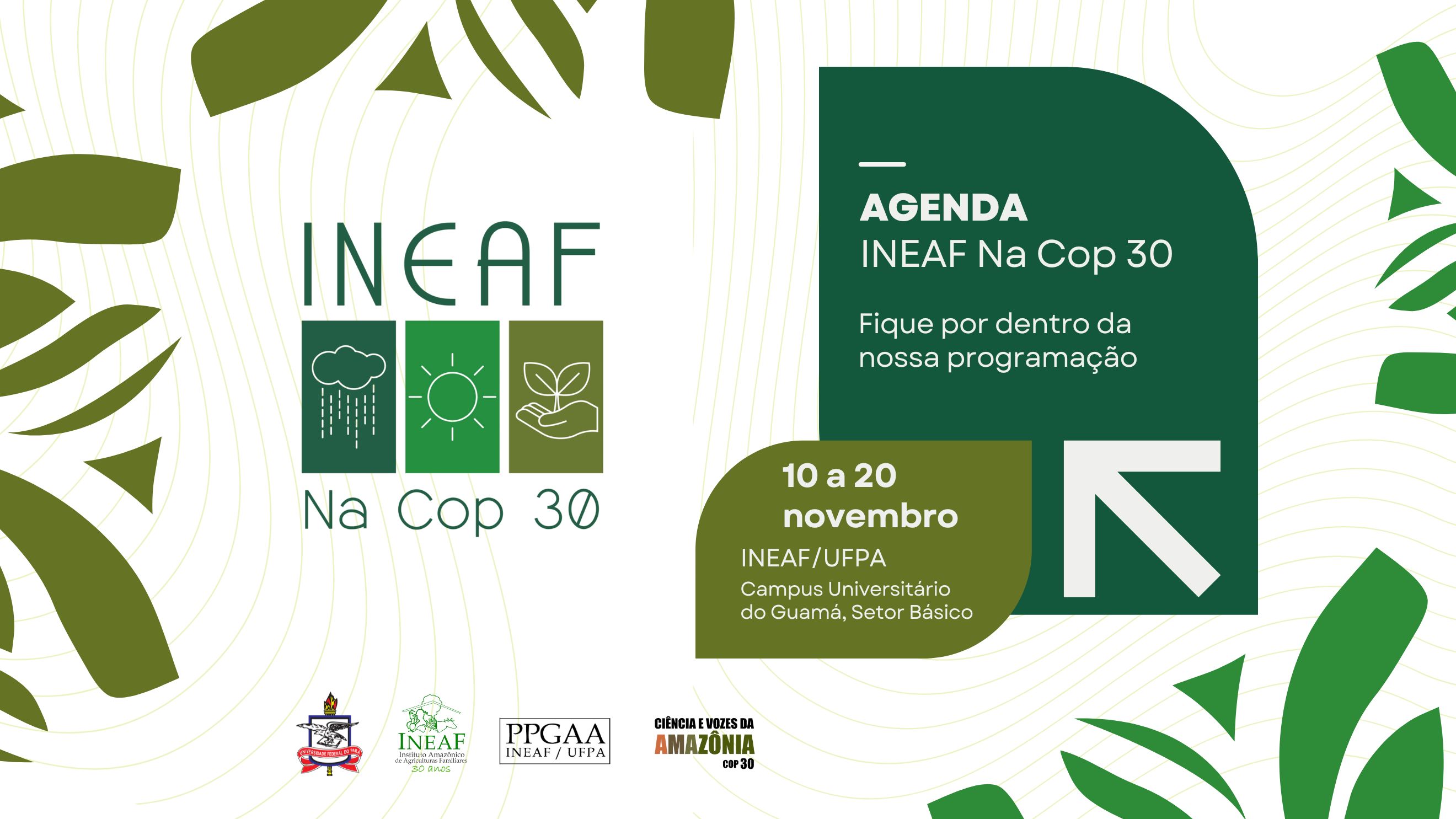 Confira a agenda do Ineaf durante a COP 30!